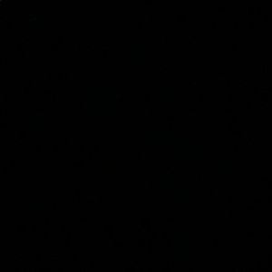 Meet your Posher, Jake